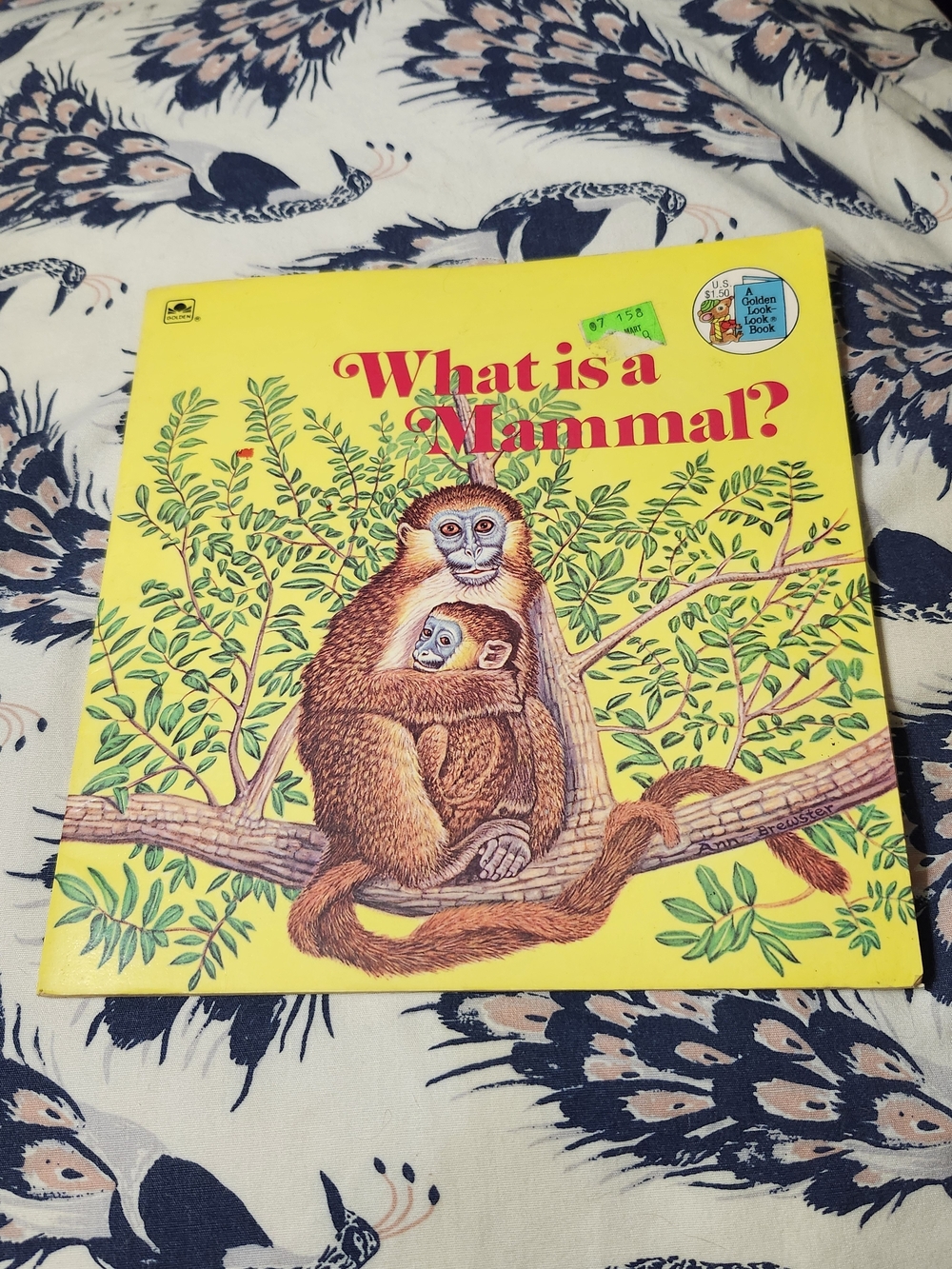 Vintage 1975 'What is a Mammal?' Children's Science Book